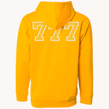 Load image into Gallery viewer, Apparel Type: Hoodie